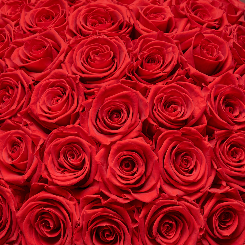 Rose Boxes