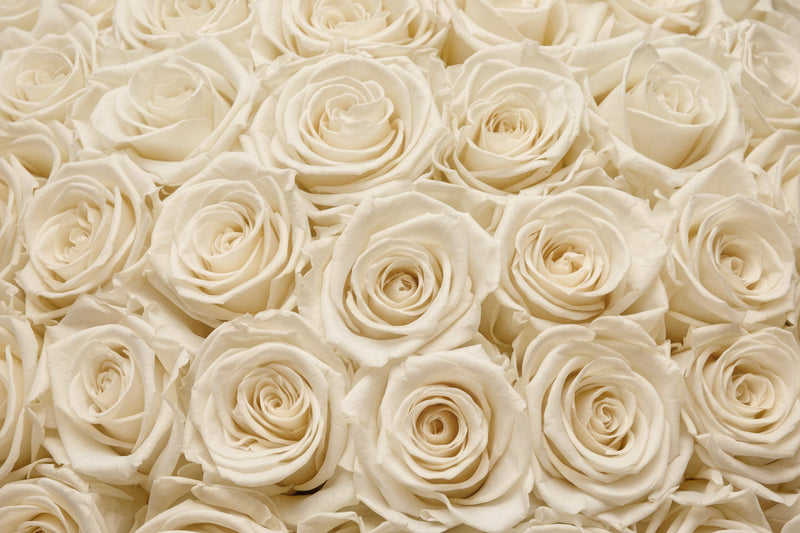 Rose Bouquets
