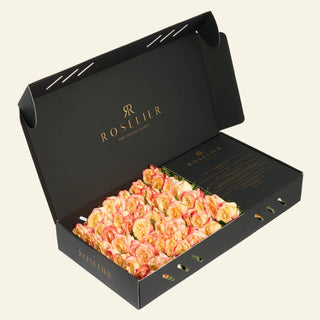 Large Apriko - "Cabaret"