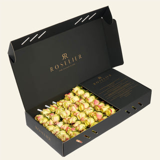 Large Lime Blush - "Zazu"