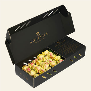 Small Lime Blush - "Verde"